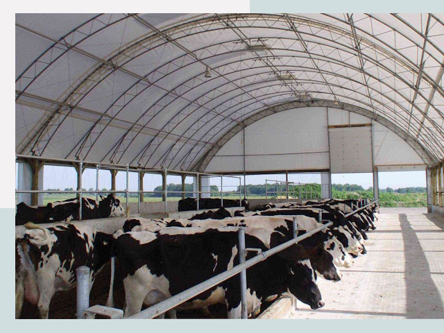 Тентовые коровники в Юрге